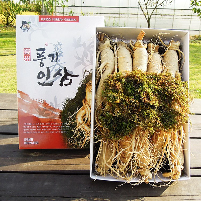 풍기인삼 6년근 인삼 수삼, 750g, 1박스, 원수삼(10~12뿌리)