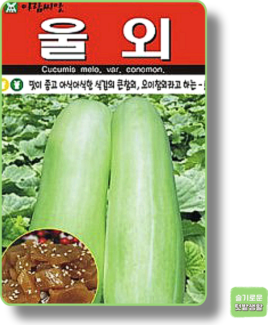 울외 씨앗 20립 아람종묘 종자 모종 작물 텃밭 과일씨앗 오이 참외씨