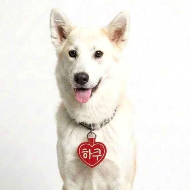 콜마이네임 무지개하트 네임택 강아지 대형견 자수 이름표 인식표, 1개, 빨간색-RED