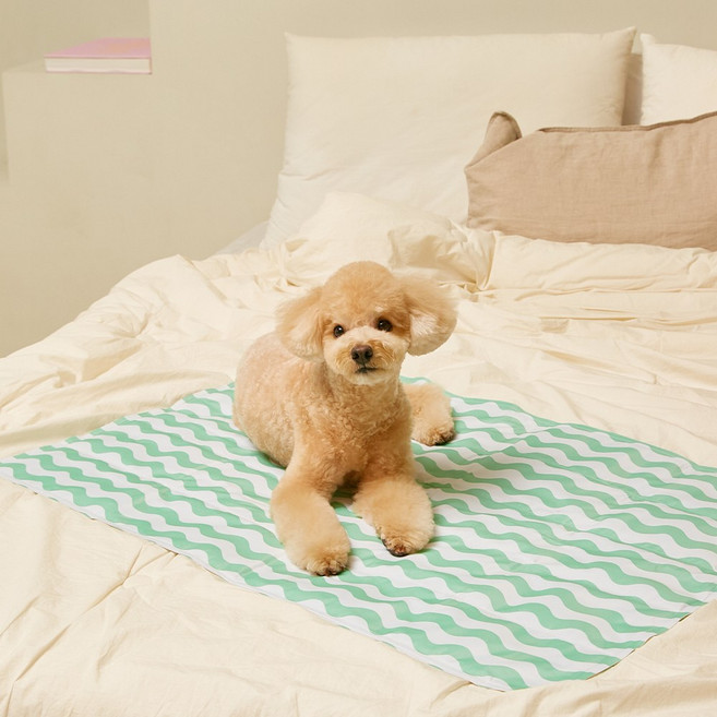 모멍트 강아지 쿨매트 아이스젤 쿨젤, 1개, L