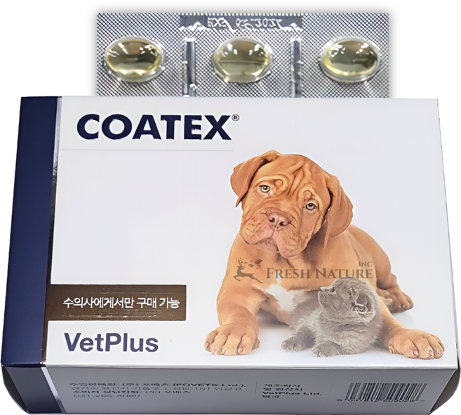 코텍스 벳플러스 블리스터 오메가3 피부 모질개선 영양제, 60회분, 피부/피모+알러지, 1개