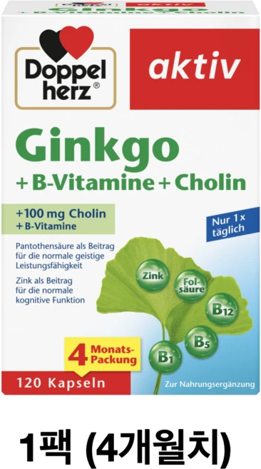 독일 도펠헤르츠 Doppelherz 은행나무 + 비타민B + 콜린 (4 개월/ 8 개월), 1개, 120정 - 쿠팡