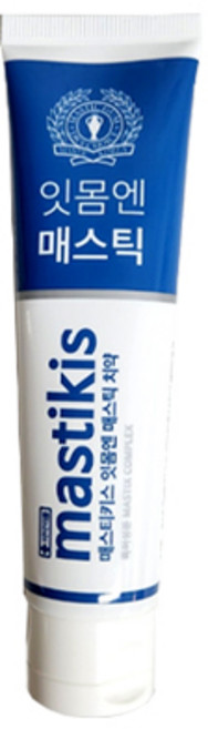 매스티키스 골드 잇몸엔 치약 항균 99.9% 충치균 치주균, 120g, 1개