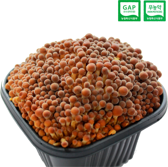 [GAP인증/무농약] 청도 그린피스농장 친환경 황금팽이버섯(농장 직배송), 10개, 200g