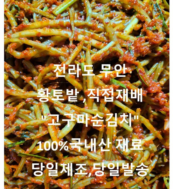 "직접농사 한땀한땀 쩝질제거 한 "고구마순김치" 은은한 젓갈맛 전라도 김치 100% 국내산재료사용., 1개, 1kg
