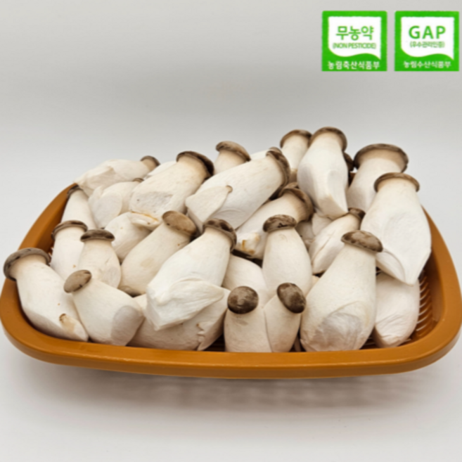 [GAP인증/무농약] 그린피스농장 친환경 미니 새송이버섯(농장 직배송), 1개, 2kg