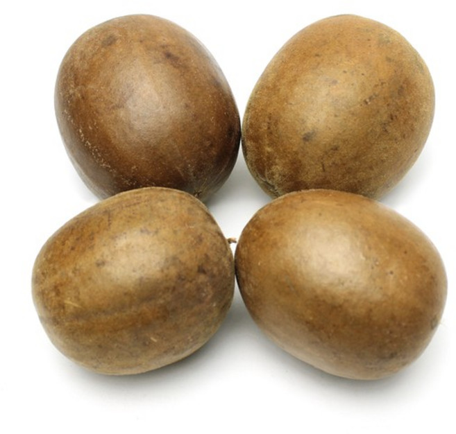 나한과(대) 4개 나한과차 나한과열매 나한가, 없음