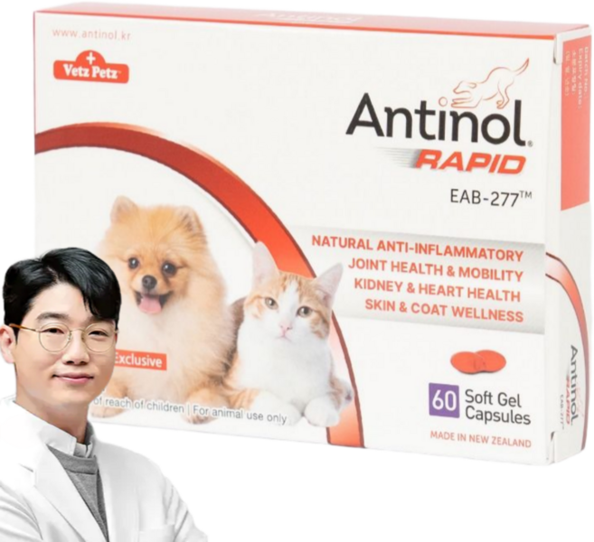 안티놀 래피드, 60정, 뼈/관절강화, 1개