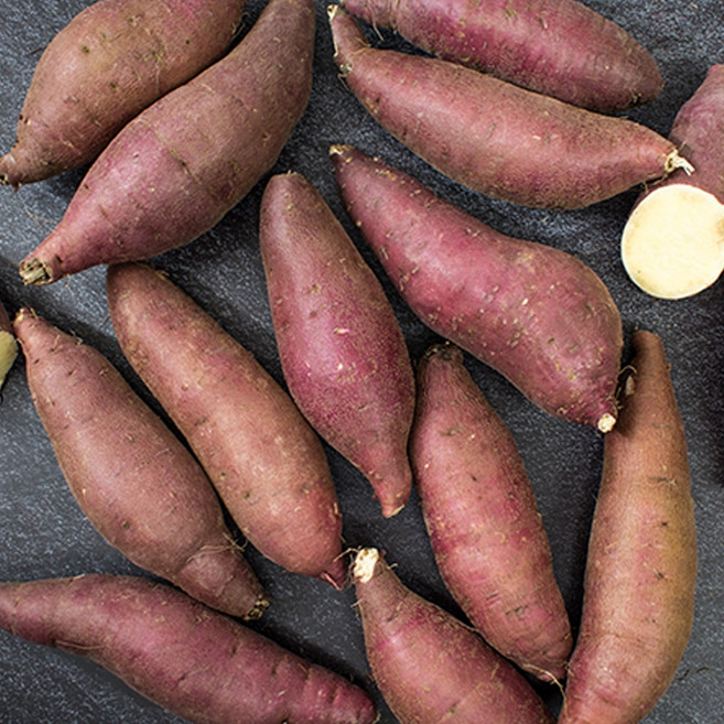 [맛템] 유명산지 밤고구마 2kg 3kg 5kg 10kg, 1개