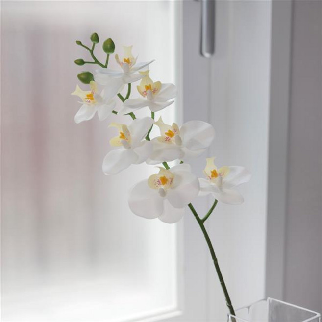 실크플라워 호접란 조화 꽃 가지 67cm 리얼 양란 중 생화같은조화, 화이트(White), 1개