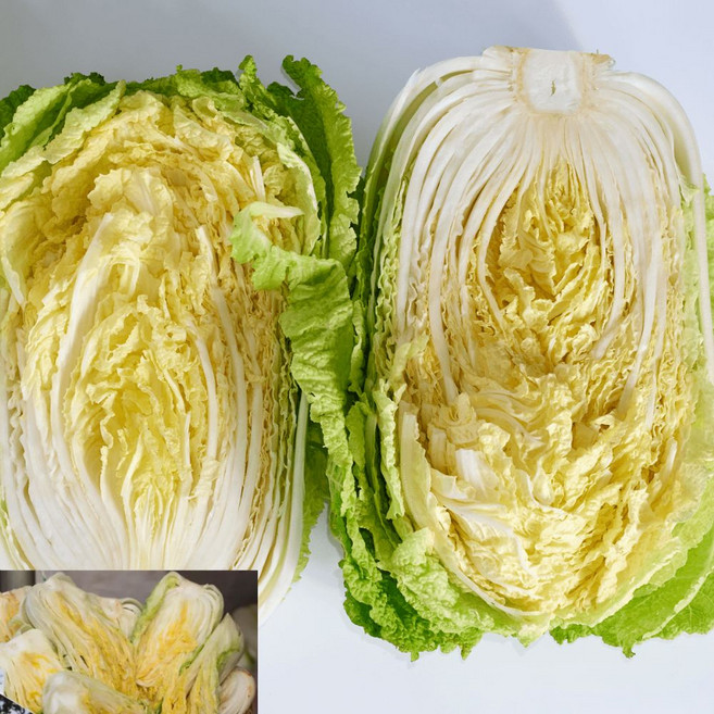 절임배추 5kg 국내산배추