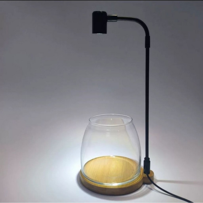 露集杯 微景觀生態瓶 附木底座植物燈 定時調光開關, 1個, 木板底座全光譜苔蘚植物燈〔定時調光開關〕