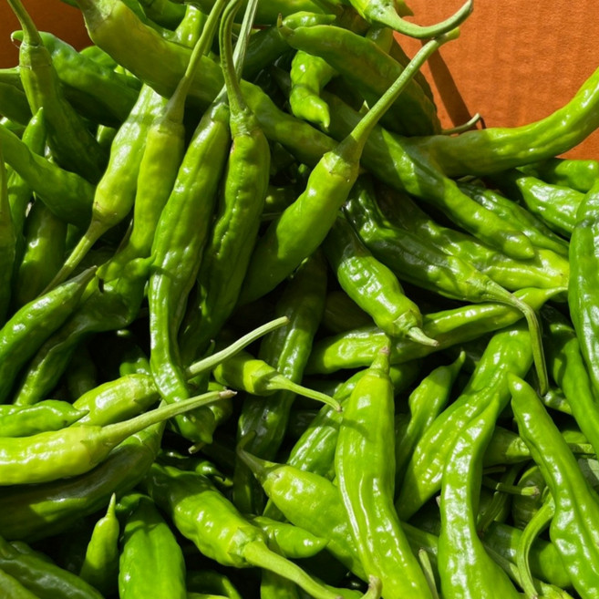 아삭하고 알싸한 꽈리고추, 2kg, 1개