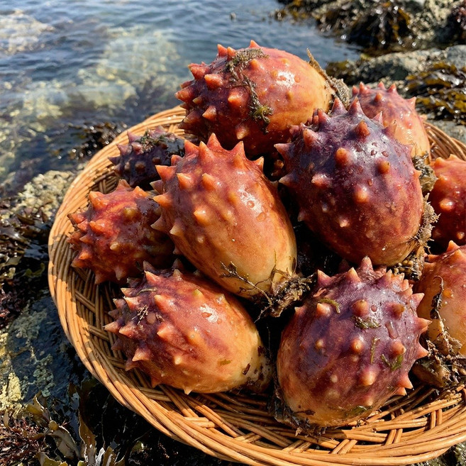 통영 제철 손질 멍게 깐멍게, 1개, 500g