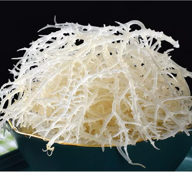 SAMARA 중국식품 용수채 500g 해초해조 싱싱한 무침 포장은변경될수있음 230525, 용수채500gx3, 500gx3