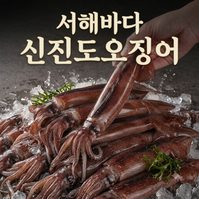 3위 - [신선도보장] 당일잡은 신진도 초코오징어 초특가, 1박스, 2kg