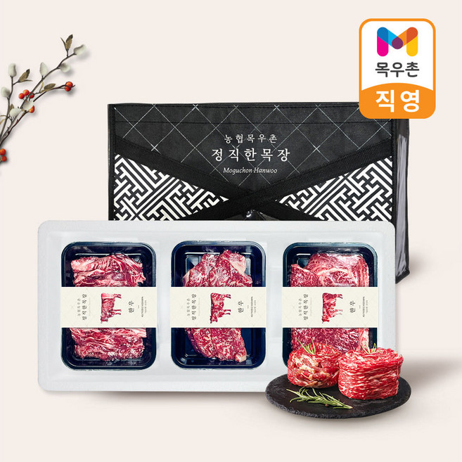 목우촌 정직한 목장 1등급 한우 선물세트 900g(등심300g+채끝300g+갈비살300g), 1개