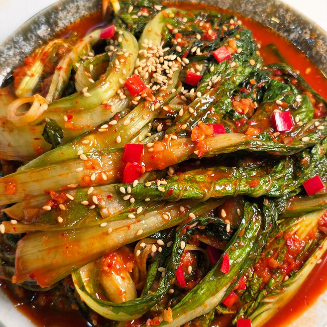 [맛꾼] HACCP인증 당일제조 국내산 전라도 얼갈이김치, 1개, 5kg