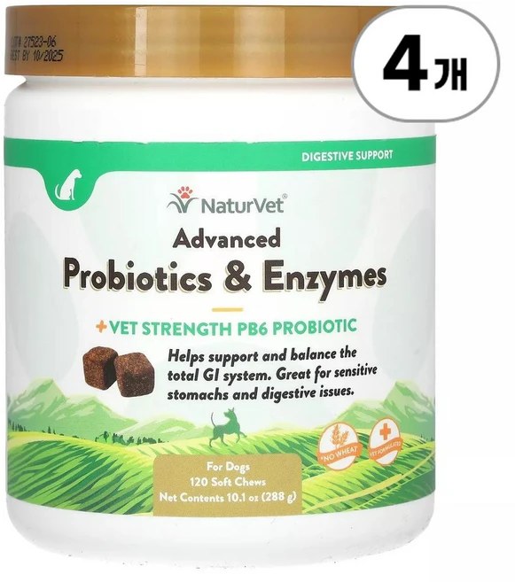 네이처벳 어드밴스드 프로바이오틱 엔자임 NaturVet Advanced Probiotics & Enzymes Vet Strength PB6 Probiotic For Dogs 288, 4개 - 쿠팡