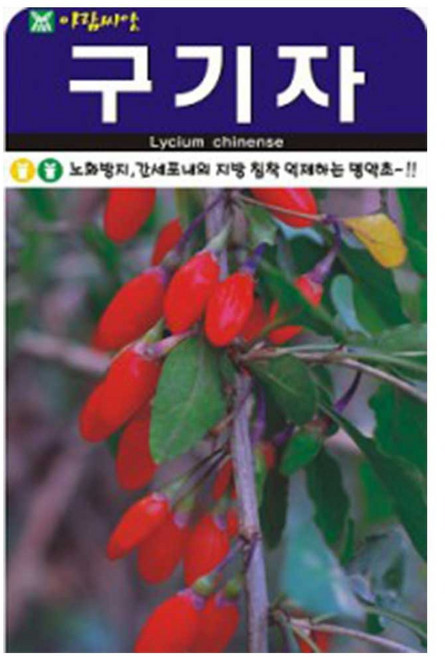 AR 구기자 씨앗 100립, 1개