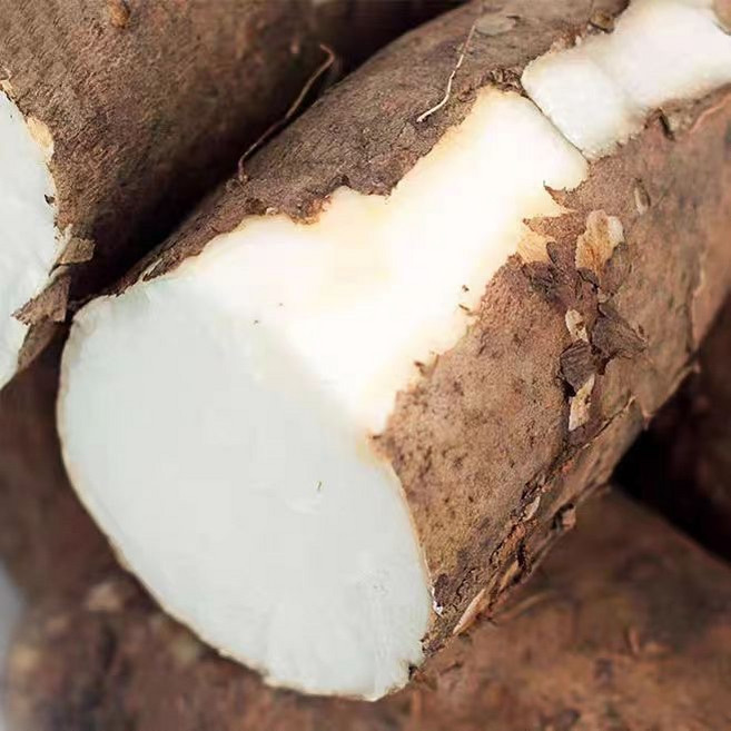 한정특가 산지직송 안동 산마 참마, 1개, 3kg