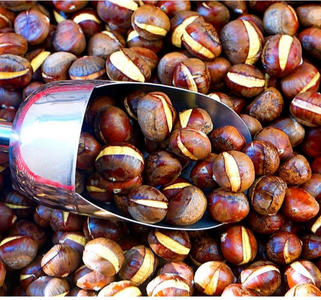 엄마의 마당 25년 칼집 약단밤 1kg+ 1kg 프리미염 천진약단밤, 햇 칼집 생율밤1kg+1kg, 2