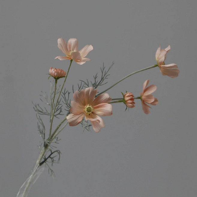 仿真波斯菊 仿真雛菊 拍照道具, 仿真波斯菊【香檳】單支