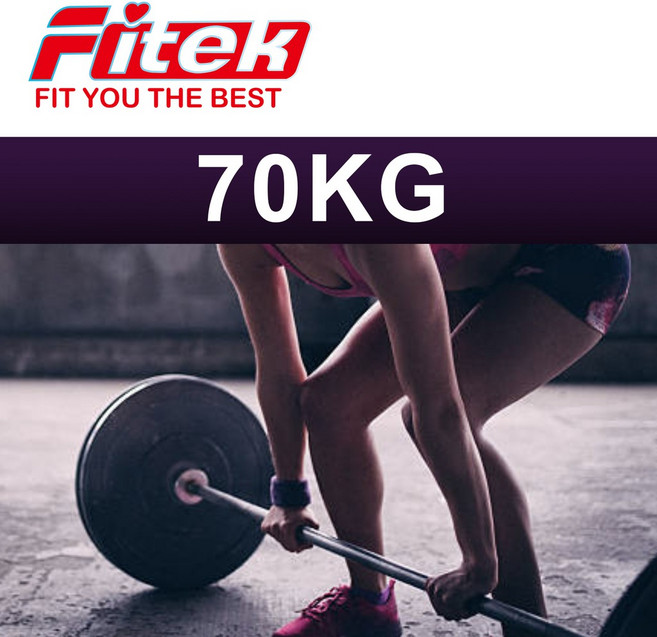 Fitek 槓鈴長槓組 70kg, 1個