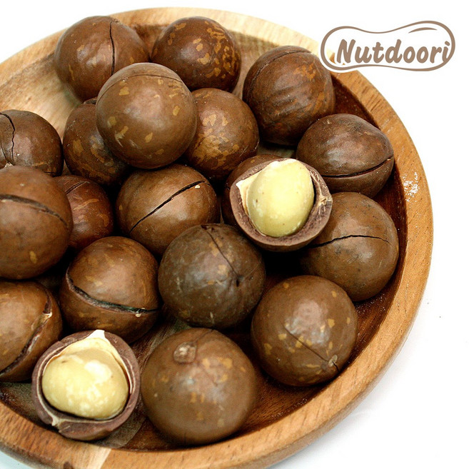 넛두리 25년 수확 베트남 통마카다미아 1kg 까먹는 껍질 마카다미아, 1개