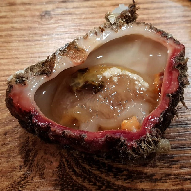 통영 자연산 돌멍게2kg 3인분 해녀가 직접잡은 고급수산물, 1개