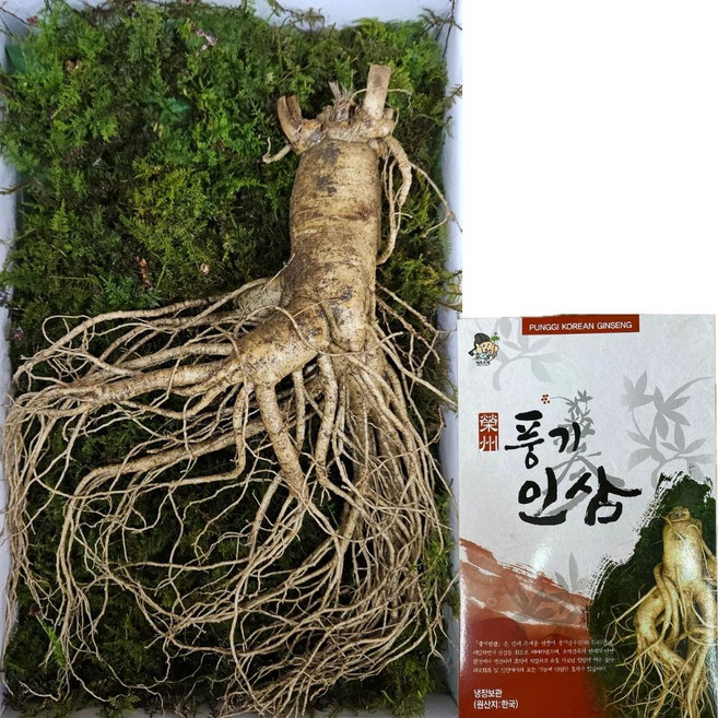 [고급수삼선물]6년근 특왕대 사이즈 한뿌리 200g이상 종이상자 고급 포장 한보인삼사, 200g, 5세트