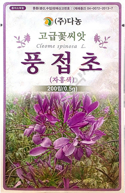 풍접초 자홍색 0.5g 다농 25년 풍접초꽃씨앗
