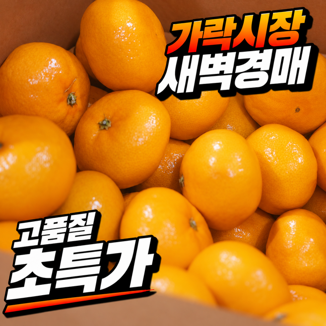[새벽경매] 귤 제주감귤 당도선별 신선보장 대과, 1박스, 5kg