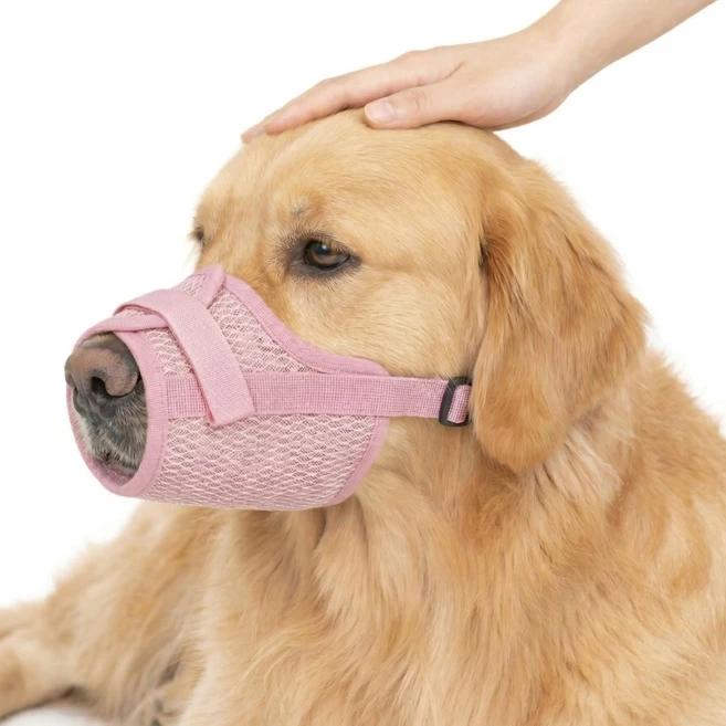 렛츠독 강아지 벨크로 경량 메쉬 입마개 산책용 훈련용 마스크 XL, 메쉬핑크, 1개 - 쿠팡