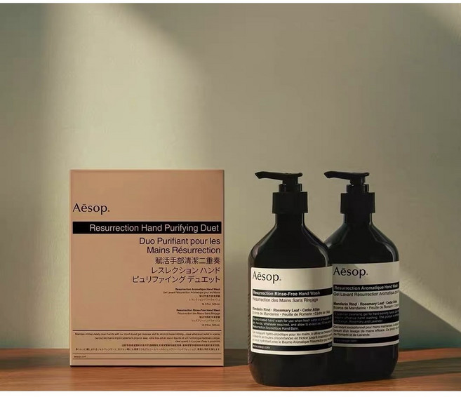 Aēsop 賦活芳香手部清潔露二重奏組, 500g, 1個