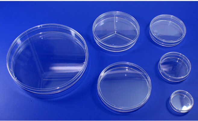샬레(페트리디쉬)-소형(50X15mm) 10개 KJR