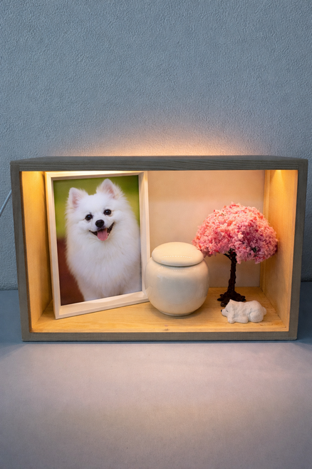 반려동물 장례용품 메모리얼 유골함 반려동물 추모함, 1개