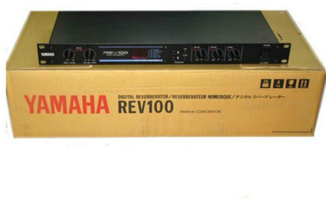 REV100DSP 전문 KTV 무대 디지털 이펙터 잔향기 프로세서 전원 어댑터 포함, 110V input, 01 110V input