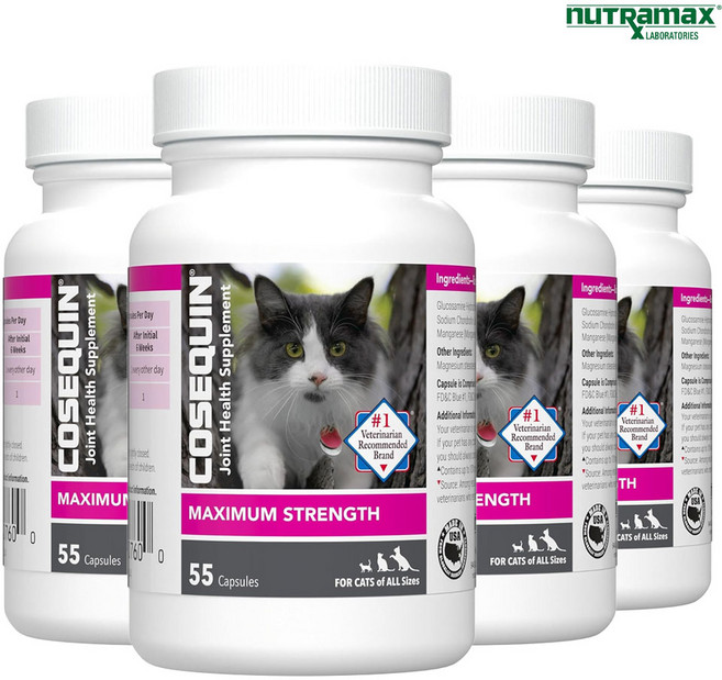뉴트라맥스 코세퀸 고양이 캣 조인트 맥시멈 스트랭스 55캡슐 4개 글루코사민 콘드로이친, 뼈/관절강화