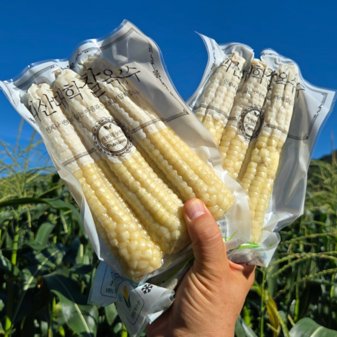 [재구매율 대란] 찐냉동대학찰옥수수 괴산 대학 찰옥수수 [충북 괴산군], 1박스, 못난이(13cm전후) 20개