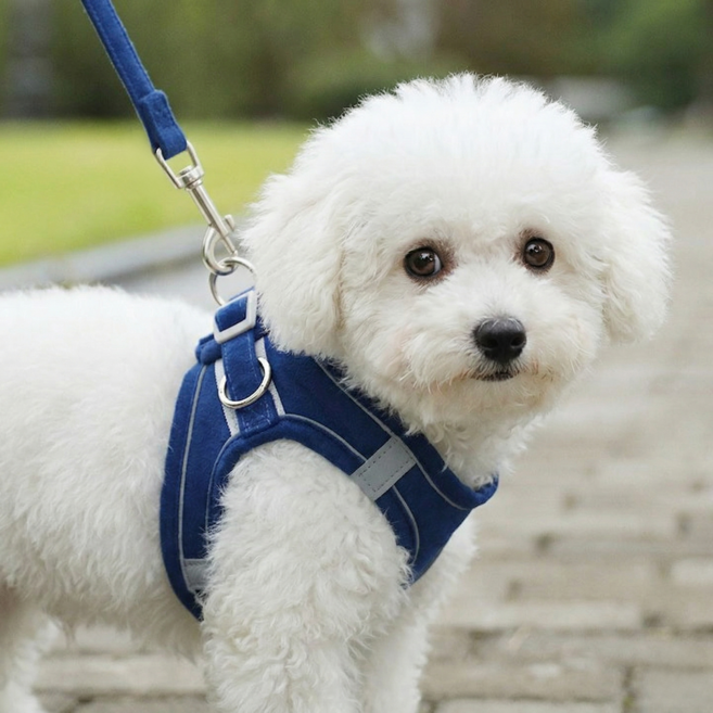 디아쿠아 고양이 강아지 야광 빛반사 벨크로 하네스 리드줄 세트, 블루그레이, 1개