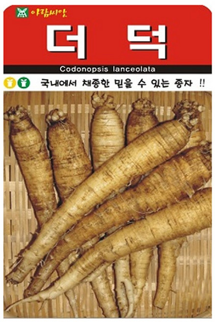 국내 채종 국산 더덕 씨앗 더덕씨 500립 재배 아람, 1개