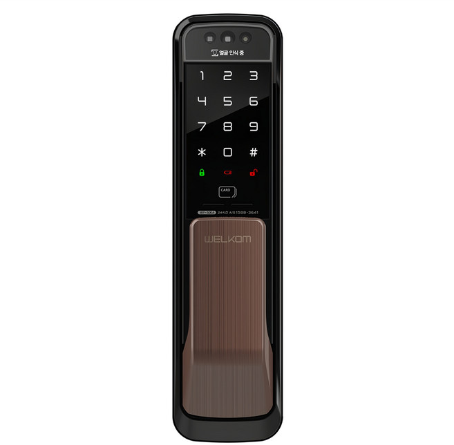 SOLITY 臉部辨識免鑽孔推拉式把手門鎖, WP-500A, 顧客自行安裝