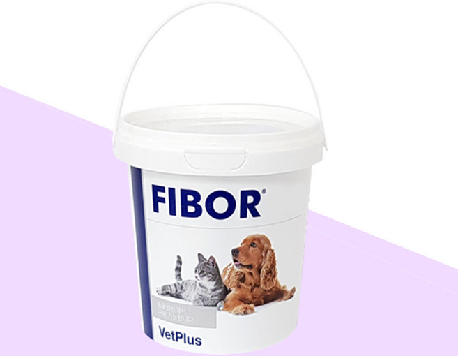 [벳플러스] 강아지 고양이 파이보 500g, 장건강/유산균, 1개