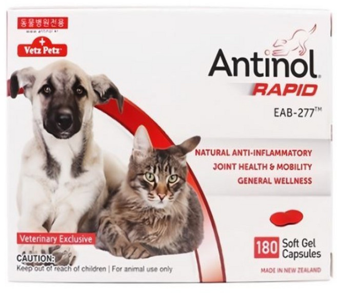 )당일발송( (최신) 베츠페츠 안티놀 래피드 180정 강아지 고양이 천연 관절영양제, 뼈/관절강화, 1개