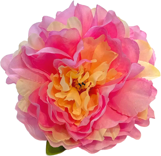 베타꽃침대 1+1 베타 어항꾸미기 은신처, 스카이블루, 연핑크