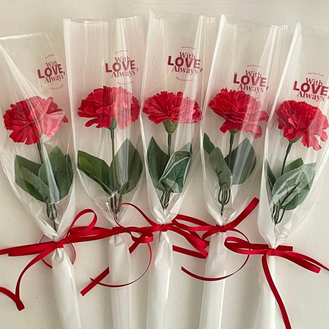 로지플라워스튜디오 한송이 카네이션 비누꽃다발 / 5개 세트 / 빨간 레드카네이션 어버이날 스승의날 / 꽃다발 졸업식 연주회 학예회 비누꽃, 레드