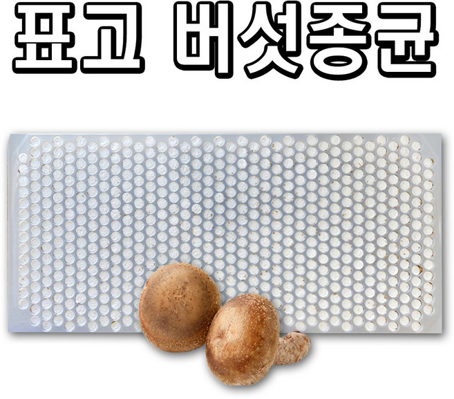친환경마켓 표고버섯(캡슐606구) - 참나무 원목 접종용 버섯 모종 느타리 성형 종균 표고버섯, 1개
