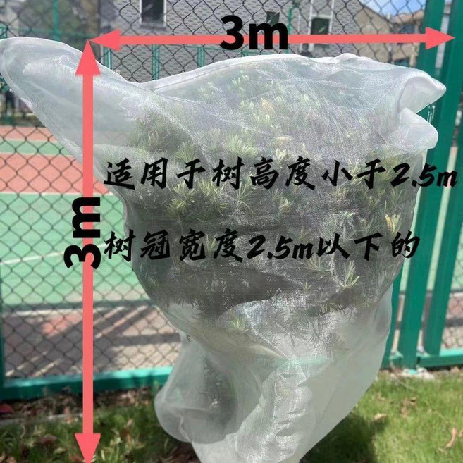 轩泽网布 果樹防蟲網 防鳥防蟲網罩, 3米長3米寬口袋型