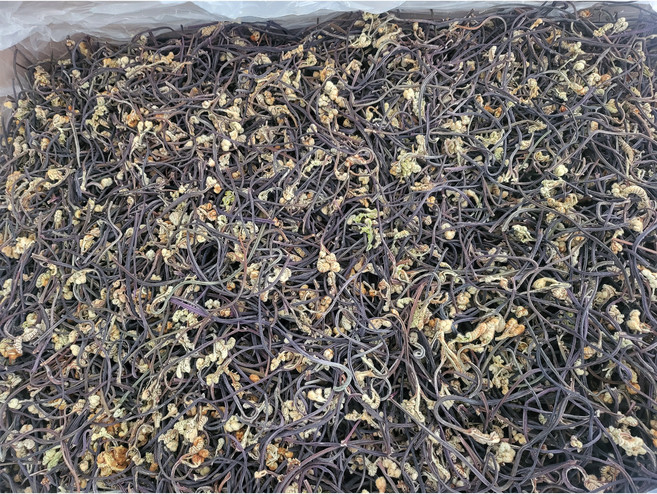 (좋은품질) 건고사리, 1개, 1kg